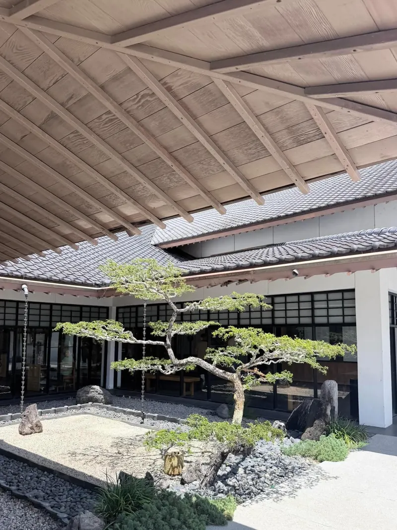 A Japanese stone garden with a pruned pine inside a timber courtyard